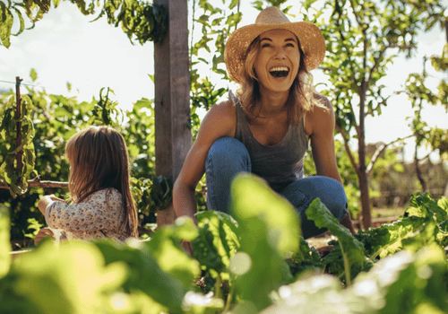 Savor Fresh Flavors and Nourish Your Heart at Local Eugene Springfield Area Farms