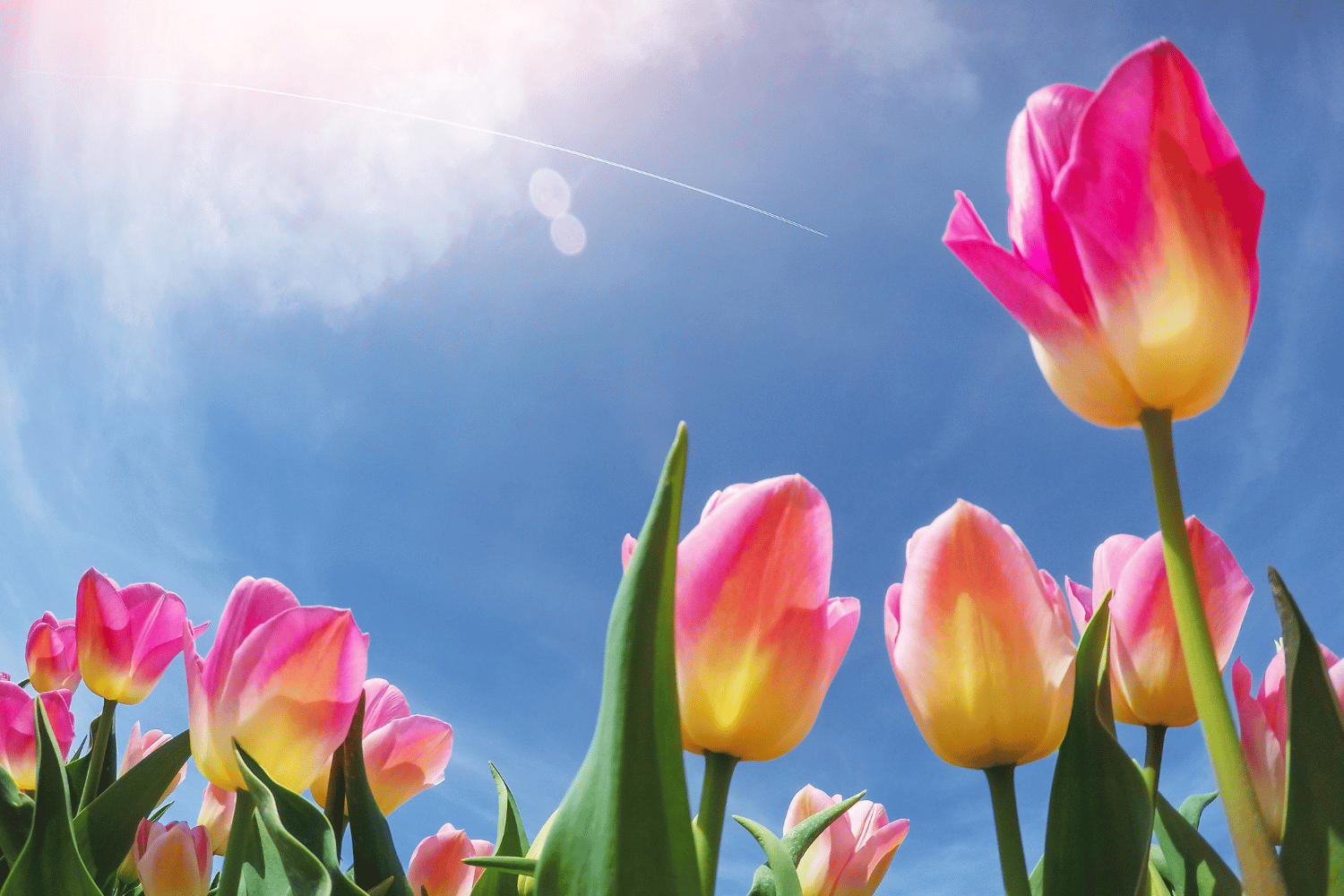 Spring Depression in the Pacific Northwest: Why Seasonal Mood Changes Can Continue Beyond Winter